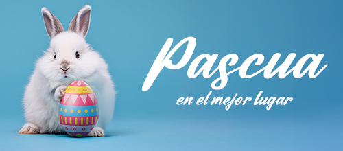 banner-pascua-panoramas